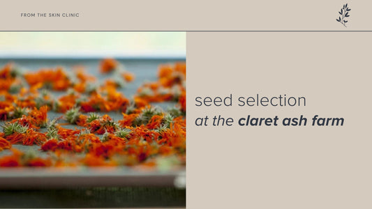 Seed Selection