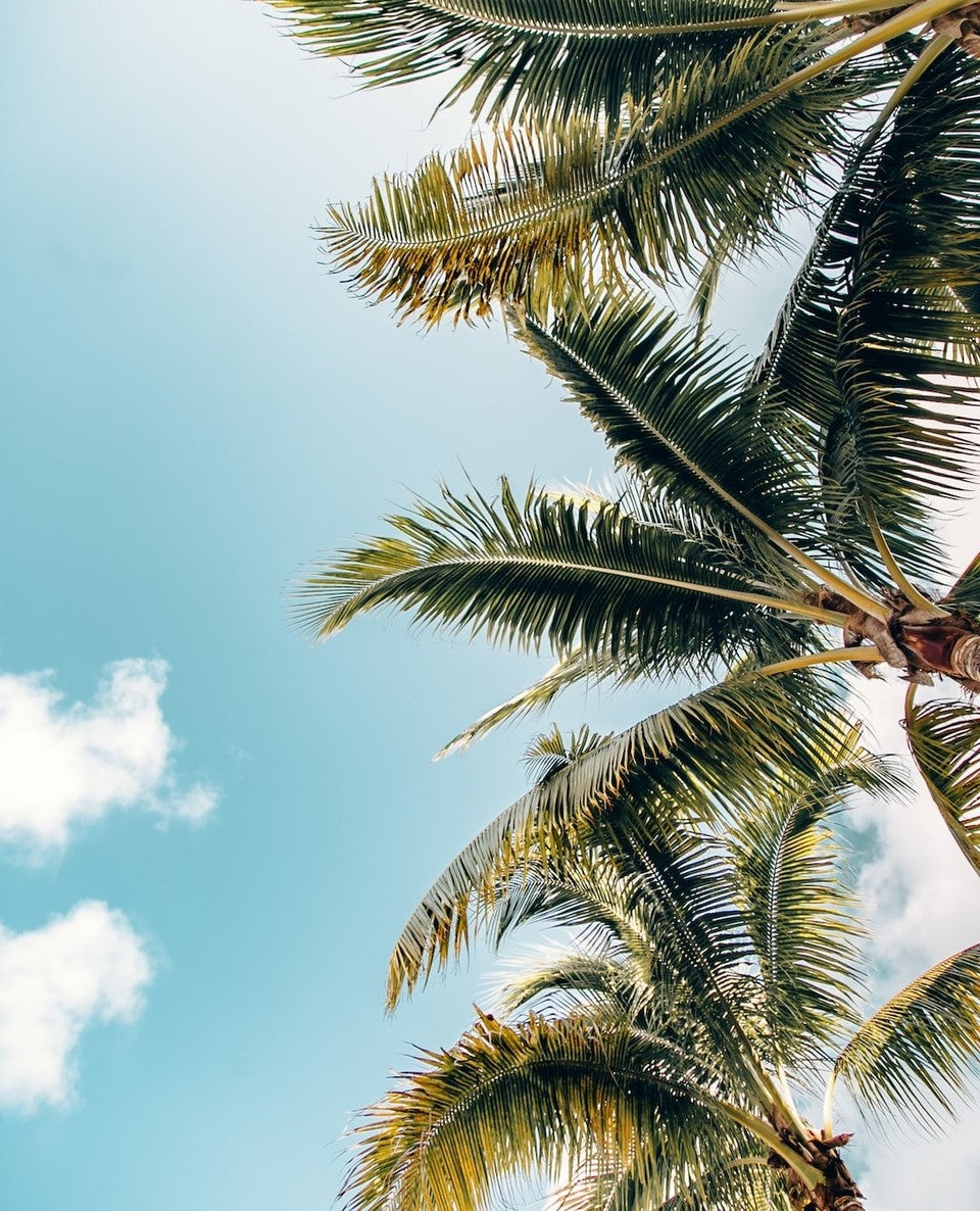 How can I protect myself from the harsh New Zealand sun?