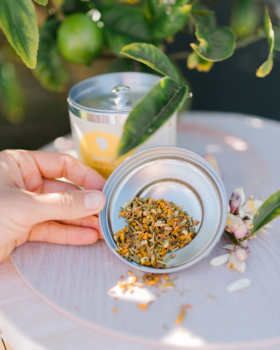 Bestow Puritea Organic Herbal Tea Tin