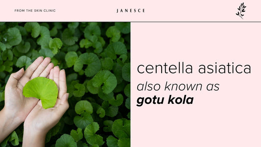 Centella: The Skin-Loving Ingredient in the Janesce Affinite Range