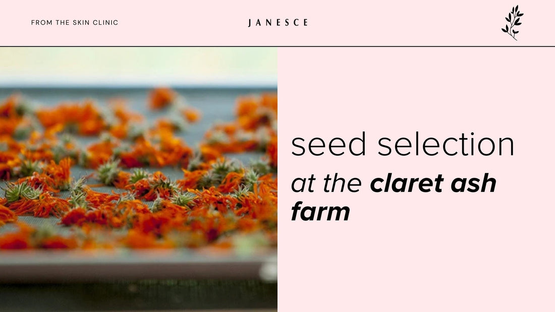 Seed Selection