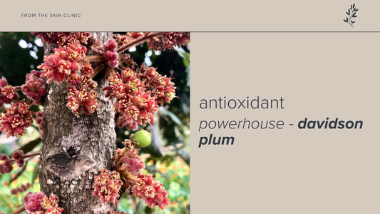Davidson Plum: The Antioxidant Powerhouse in Janesce Affinite Skincare