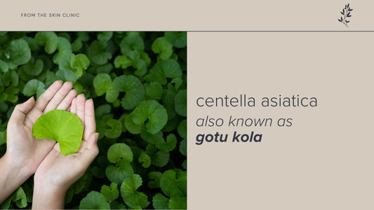Centella: The Skin-Loving Ingredient in the Janesce Affinite Range