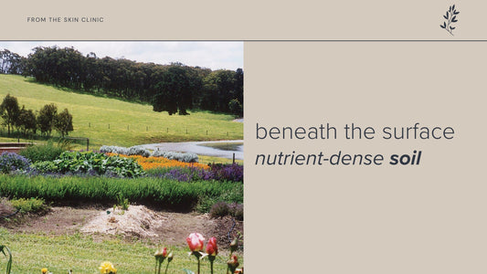 The Secret Beneath the Surface: Why Soil is the Soul of Janesce Skincare