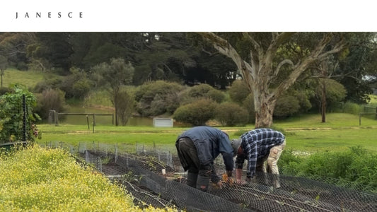 Naturally Powerful Skincare, Grown with Care